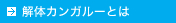 解体カンガルーとは