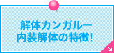 解体カンガルー内装解体の特徴！