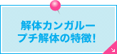 解体カンガループチ解体の特徴！