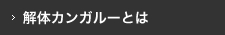 解体カンガルーとは