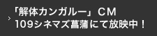 「解体カンガルー」ＣＭ　109シネマズ菖蒲にて放映中！